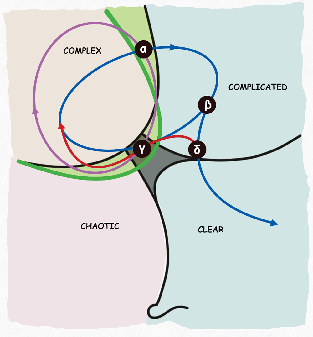 Dynamics and decision points
