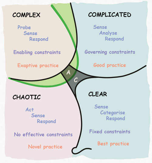 Cynefin framework