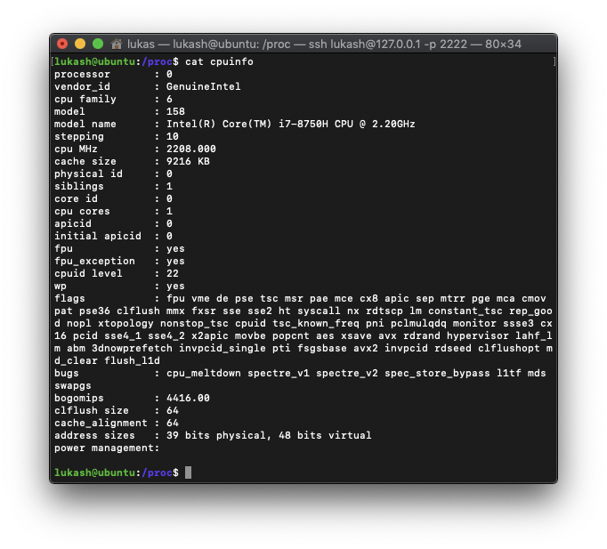 /proc directory