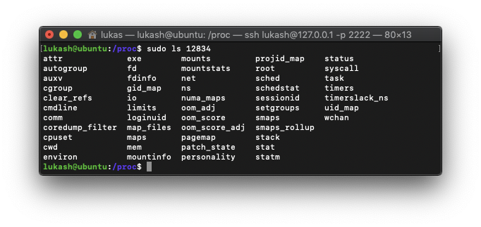 /proc directory