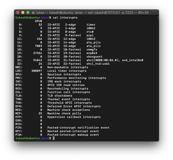 /proc directory